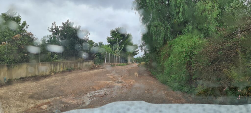 El ayuntamiento de Náquera abandona a los vecinos de Pont del Moliner 4 20240713 125018
