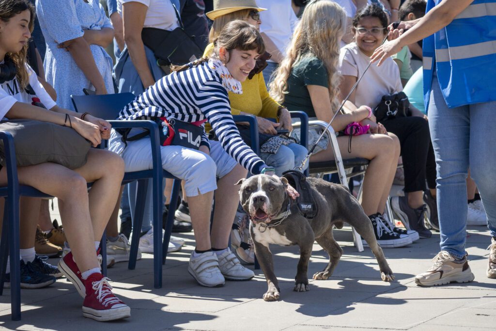 26º Desfile de perros de las protectoras AUPA, Modepran y Fundación BIOPARC 4 25 Mayo 2025 26 Desfile AUPA BIOPARC 9