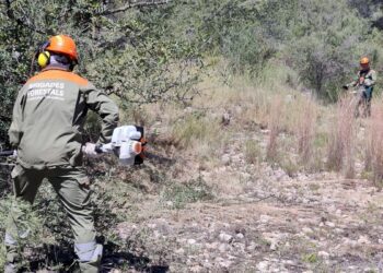 La Diputació de Valencia refuerza la coordinación entre brigadas forestales y ayuntamientos para prevenir incendios 1 La Diputació de Valencia refuerza la coordinación entre brigadas forestales y ayuntamientos para prevenir incendios