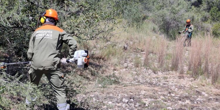 La Diputació de Valencia refuerza la coordinación entre brigadas forestales y ayuntamientos para prevenir incendios 1 La Diputació de Valencia refuerza la coordinación entre brigadas forestales y ayuntamientos para prevenir incendios
