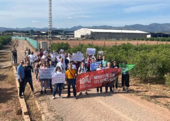 Activistas se manifiestan a las puertas de la macroexplotación bovina More Holstein en Bétera