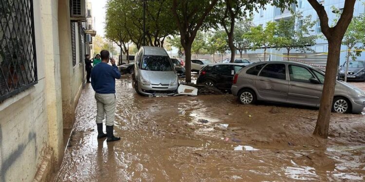 La Torre renace con brochas solidarias: 26 hogares recuperan su dignidad tras la DANA 1 La Torre renace con brochas solidarias: 26 hogares recuperan su dignidad tras la DANA