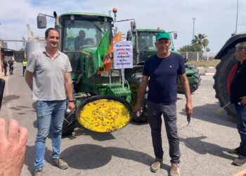 La Unió Llauradora denuncia la entrada de 6 millones de kg de arroz de Myanmar por el Puerto de Valencia