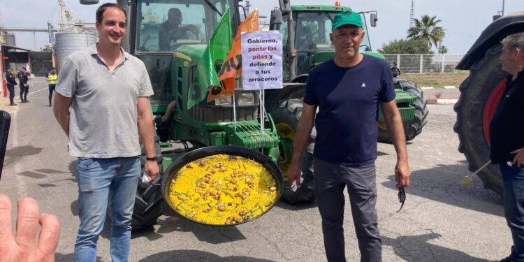 La Unió Llauradora denuncia la entrada de 6 millones de kg de arroz de Myanmar por el Puerto de Valencia