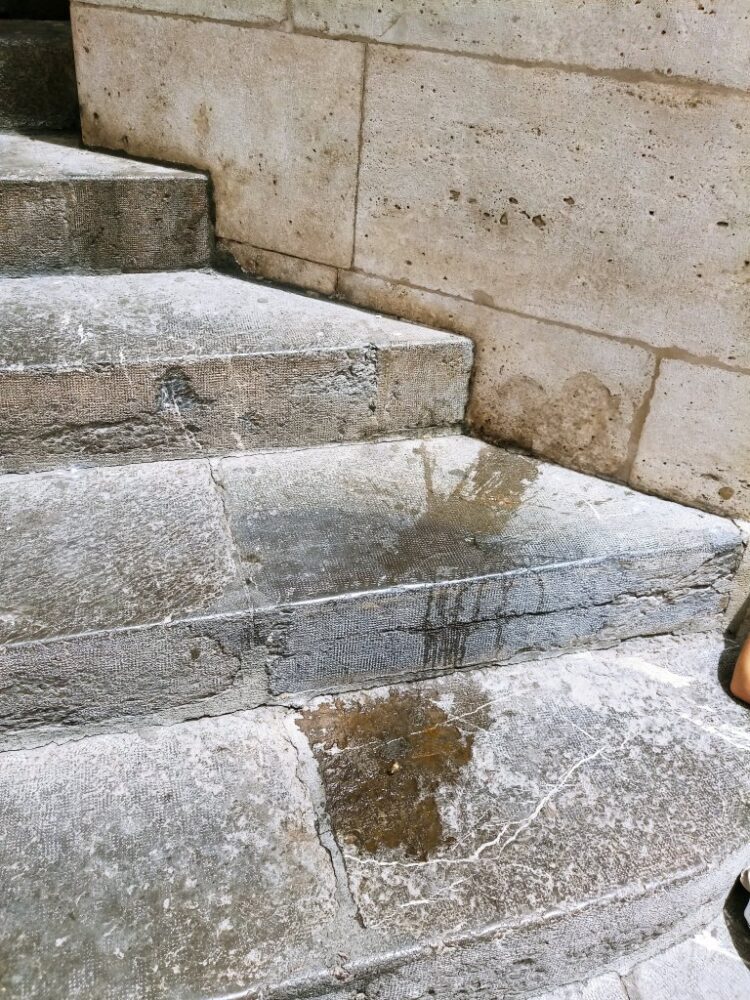 La Lonja de Valencia, de los bocadillos y de las tapitas