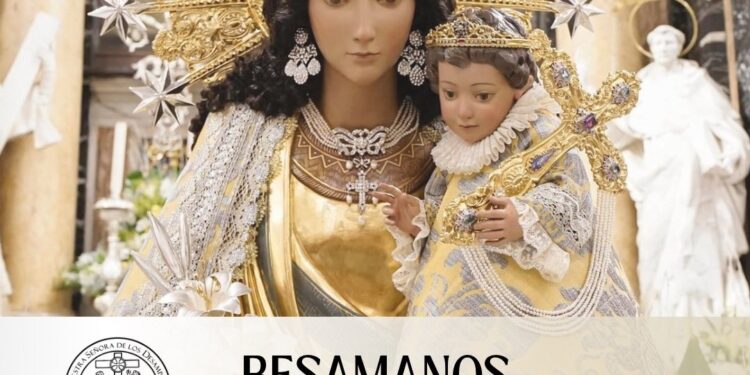 Mañana la Basílica de la Mare de Deu dels Desamparats acogerá el Besamanos a la Peregrina 1 Mañana la Basílica de la Mare de Deu dels Desamparats acogerá el Besamanos a la Peregrina