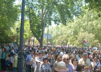 Madrid clama por la sanidad pública: miles de personas llenan las calles en defensa de un derecho universal