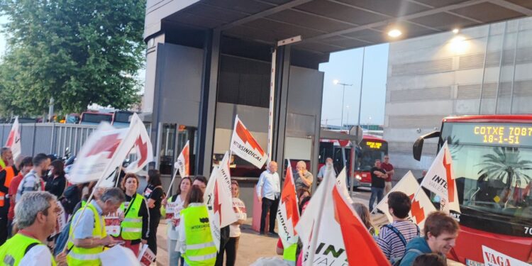 Servicios públicos sin incidencias tras la huelga por la DANA 1 Servicios públicos sin incidencias tras la huelga por la DANA