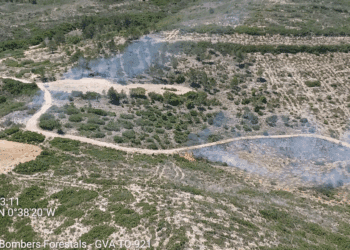 Declarado un pequeño incendio forestal en Tous