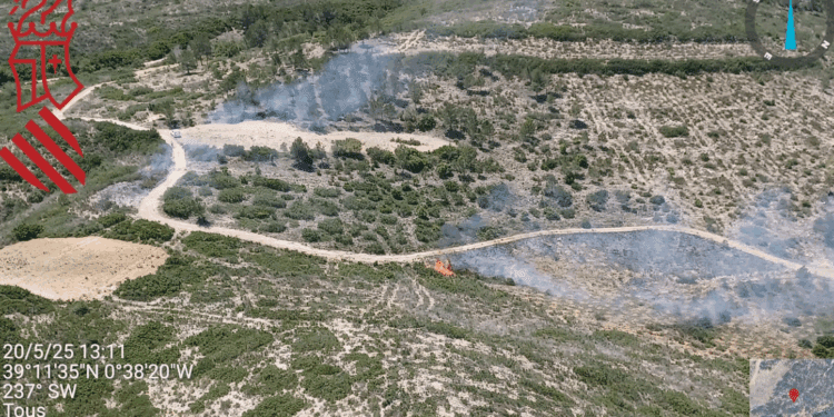 Declarado un pequeño incendio forestal en Tous 1 Declarado un pequeño incendio forestal en Tous