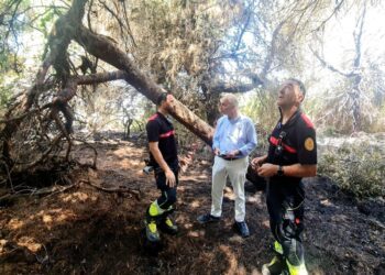 La concejalía de Devesa-Albufera activa un escudo preventivo contra incendios con apoyo de Bomberos