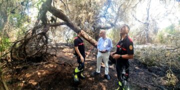La concejalía de Devesa-Albufera activa un escudo preventivo contra incendios con apoyo de Bomberos