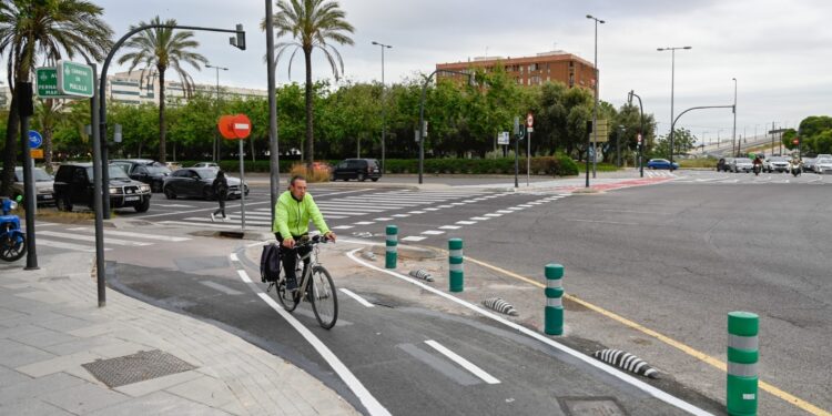 Nuevo carril bici que conecta la carrera de Malilla con el sur de la ciudad