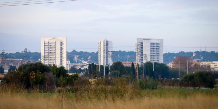 El Ayuntamiento de Torrent lanza un bando para exigir la limpieza de solares privados 1 El Ayuntamiento de Torrent lanza un bando para exigir la limpieza de solares privados
