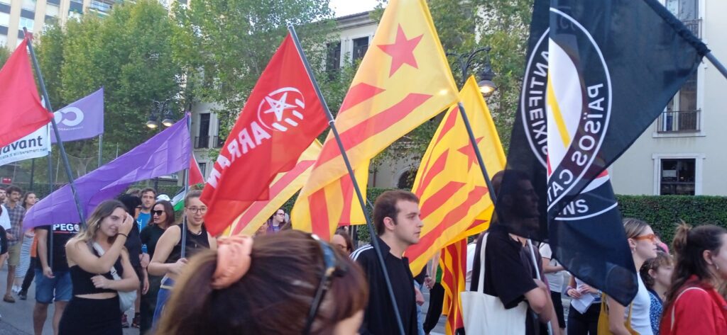 WhatsApp Image 2025 05 25 at 13.48.451