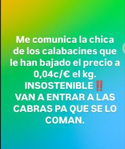 calabacines