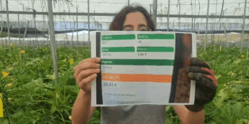 Pagan a 0,04 céntimos el kilo de calabacín español mientras en las tiendas superan el 1,75€/Kg: ruina de los agricultores