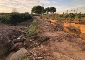 El Gobierno amplía el plazo para que los agricultores afectados por la DANA ratifiquen su interés en que Tragsa repare los daños