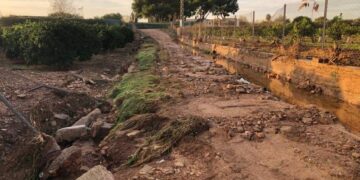 El Gobierno amplía el plazo para que los agricultores afectados por la DANA ratifiquen su interés en que Tragsa repare los daños