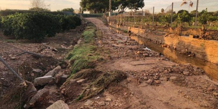 La Generalitat levanta la emergencia por la DANA en los 32 municipios afectados: comienza la reconstrucción 1 El Gobierno amplía el plazo para que los agricultores afectados por la DANA ratifiquen su interés en que Tragsa repare los daños