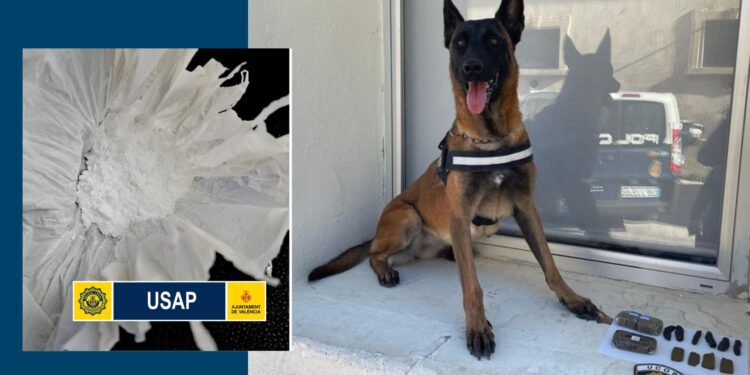 K9, el perro policía de Valéncia, frustra una venta de droga en plena Feria de Andalucía 1 K9, el perro policía de Valéncia, frustra una venta de droga en plena Feria de Andalucía