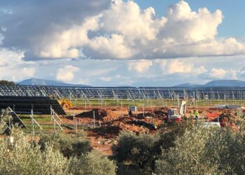 Olivos frente a paneles: ¿progreso renovable o barbarie ambiental ?