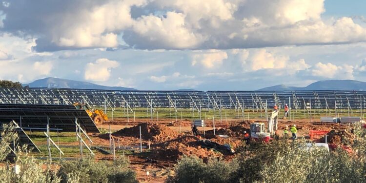 Olivos frente a paneles solares: ¿progreso renovable o barbarie ambiental ? 1 Olivos frente a paneles: ¿progreso renovable o barbarie ambiental ?