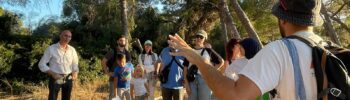 Devesa-Albufera ofrece paseos en barca al atardecer en el marco de la Feria de Julio de Valencia