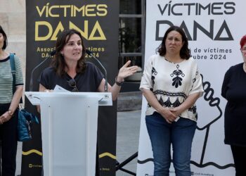 Las víctimas de la DANA del 29-O exigen ser escuchadas en Les Corts antes de reunirse con Mazón