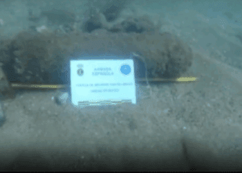 La Armada neutraliza un proyectil de la Guerra Civil hallado en el Puerto de Valencia