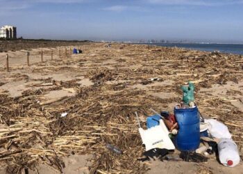 Ecologistas en Acción otorga seis Banderas Negras a la costa valenciana por vertidos, mala gestión ambiental y dejadez tras la DANA