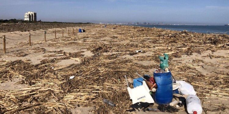 Ecologistas en Acción otorga seis Banderas Negras a la costa valenciana por vertidos, mala gestión ambiental y dejadez tras la DANA 1 Ecologistas en Acción otorga seis Banderas Negras a la costa valenciana por vertidos, mala gestión ambiental y dejadez tras la DANA