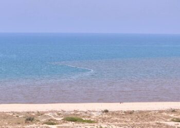 Los vecinos del Saler denuncian aguas turbias por aperturas de compuertas de La Albufera