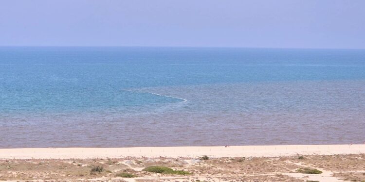 Los vecinos del Saler denuncian aguas turbias por aperturas de compuertas de La Albufera 1 Los vecinos del Saler denuncian aguas turbias por aperturas de compuertas de La Albufera