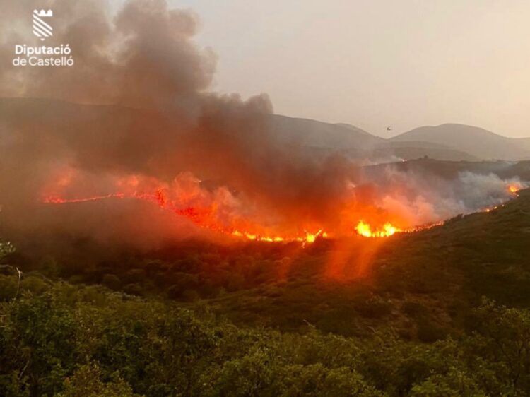 3 medios aéreos luchan contra un nuevo incendio forestal en Alcoleja