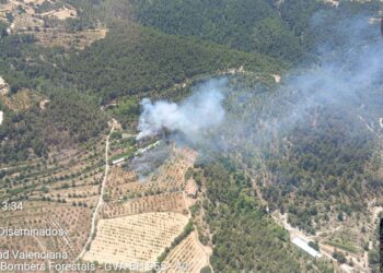 3 medios aéreos luchan contra un nuevo incendio forestal en Alcoleja