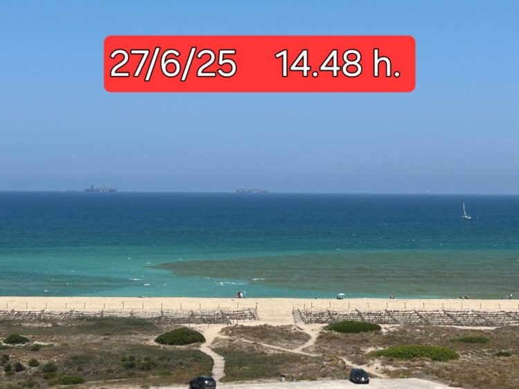 Dos vertidos más de l’Albufera enfadan a los vecinos del Saler que piden a Catalá explicaciones