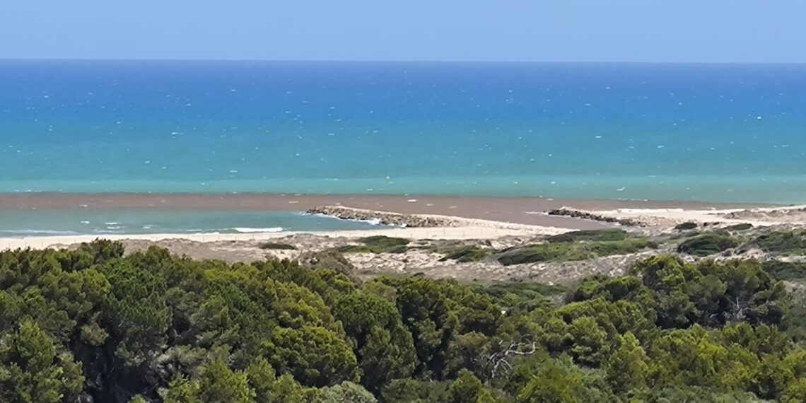 Dos vertidos más de l'Albufera enfadan a los vecinos del Saler que piden a Catalá explicaciones