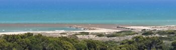 Dos vertidos más de l'Albufera enfadan a los vecinos del Saler que piden a Catalá explicaciones