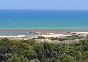 Dos vertidos más de l'Albufera enfadan a los vecinos del Saler que piden a Catalá explicaciones
