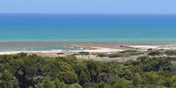 Dos vertidos más de l'Albufera enfadan a los vecinos del Saler que piden a Catalá explicaciones