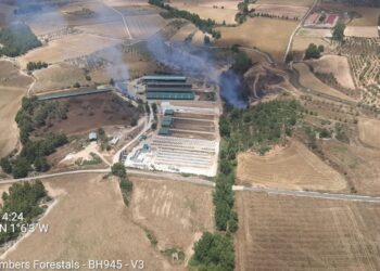 3 medios aéreos luchan contra un incendio forestal declarado en Titaguas