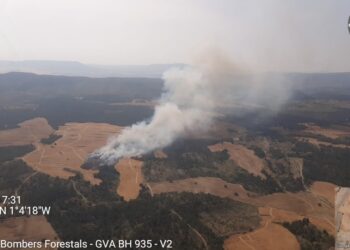 6 medios aéreos luchan contra un incendio forestal en Ayora6 medios aéreos luchan contra un incendio forestal en Ayora