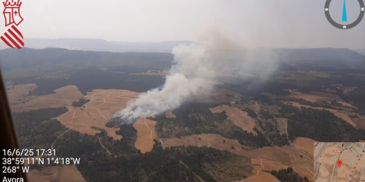 6 medios aéreos luchan contra un incendio forestal en Ayora 1 6 medios aéreos luchan contra un incendio forestal en Ayora6 medios aéreos luchan contra un incendio forestal en Ayora