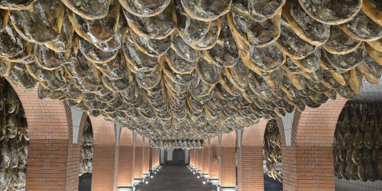 Super Gourmet visita Jabugo para su Selección Anual de Jamones 5 J