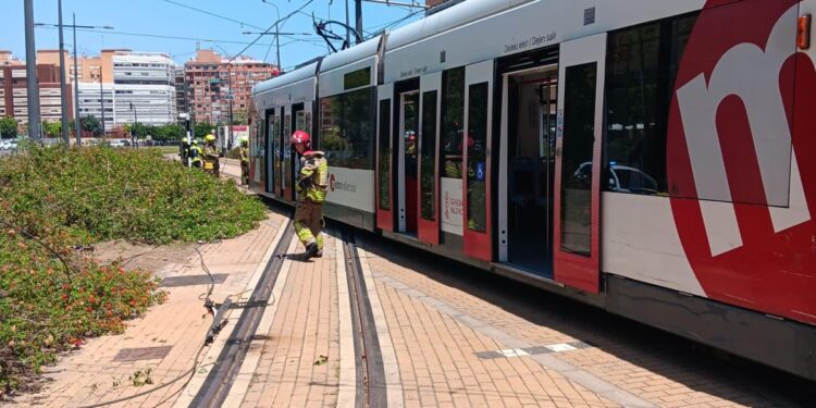 Restablecido el servicio de las líneas 6 y 4 de Metrovalencia tras el enganchón con la catenaria 1 Incidente en Metrovalencia: un enganchon de un tranvia con la catenaria interrumpe el servicio entre Empalme y Betero