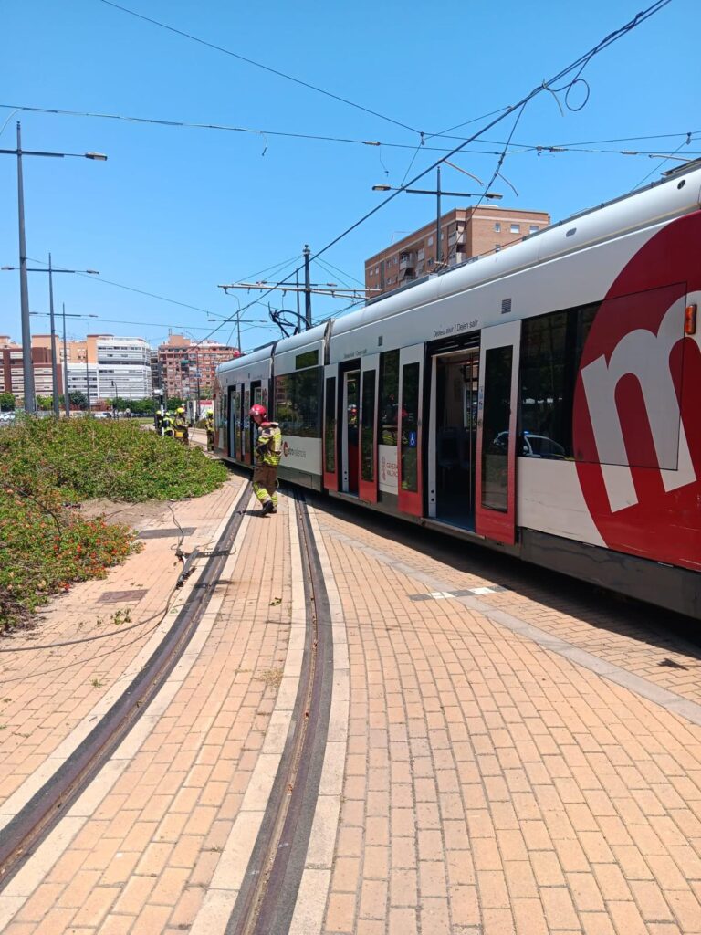 Incidente en Metrovalencia: un enganchon de un tranvia con la catenaria interrumpe el servicio entre Empalme y Betero 5 Imagen de WhatsApp 2025 06 20 a las 19.30.45 fad934c3