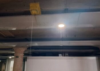 El patrimonio del Mercado Central que Catalá margina y olvida