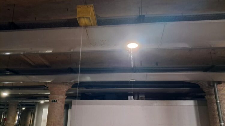 El patrimonio del Mercado Central que Catalá margina y olvida