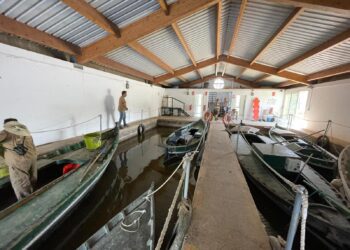 El Ayuntamiento de Valencia impulsa la reforma del embarcadero municipal de la Mata del Fanc